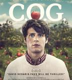 神的孩子奇遇記