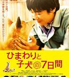 向日葵與幼犬的7天