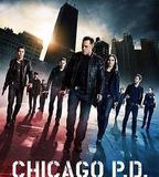 芝加哥警署 第一季