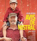 普羅旺斯的夏天