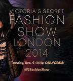 維多利亞的祕密2014時裝秀