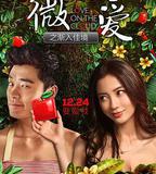 微愛之漸入佳境