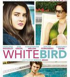 暴風雪中的白鳥