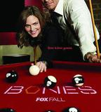 識骨尋蹤 第十季