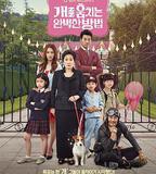 偷狗的完美方法