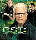 犯罪現場調查 第十五季