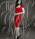 傲骨賢妻 第七季