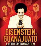 愛森斯坦在瓜納華托