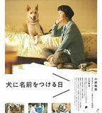 爲你取名的那一天