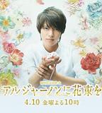 獻給阿爾吉儂的花束