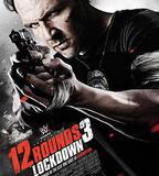 12回合3：致命禁閉