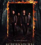 邪惡力量 第十二季