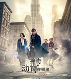 神奇動物在哪裡