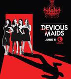 蛇蠍女傭 第四季