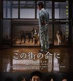 爲了這條街的生命