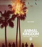 野獸家族 第一季