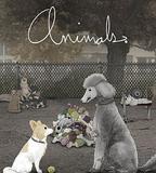 紐約屁民 第一季