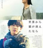 假如貓從世界上消失了