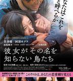 她不知道名字的那些鳥兒