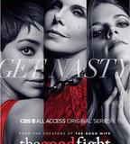 傲骨之戰 第一季