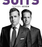 金裝律師 第七季