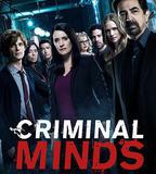 犯罪心理 第十三季