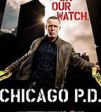 芝加哥警署 第五季