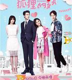 狐狸的夏天 第二季