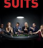 金裝律師 第八季