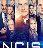 海軍罪案調查處 第十六季