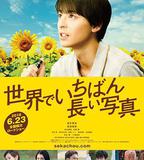 世界上最長的照片