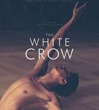 白烏鴉