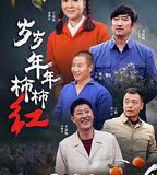 歲歲年年柿柿紅