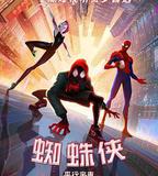 蜘蛛俠：平行宇宙