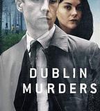 都柏林兇案