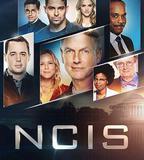 海軍罪案調查處 第十七季