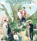 我的莫格利男孩