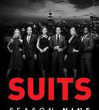 金裝律師 第九季