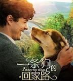 一條狗的回家路