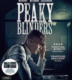 浴血黑幫 第五季