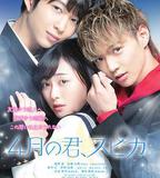 4月的你，角宿星