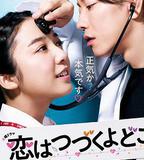 將戀愛進行到底