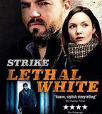 斯特萊克探案集：致命之白 第四季