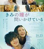 你的眼睛在追問