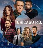 芝加哥警署 第八季