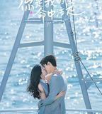 你是我的命中注定