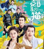 報告王爺，王妃是只貓