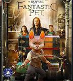 神寵魯弗斯大冒險