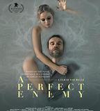 完美敵人