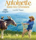 塞文山脈的安東萬